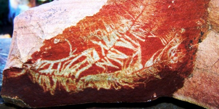 Interesting geology